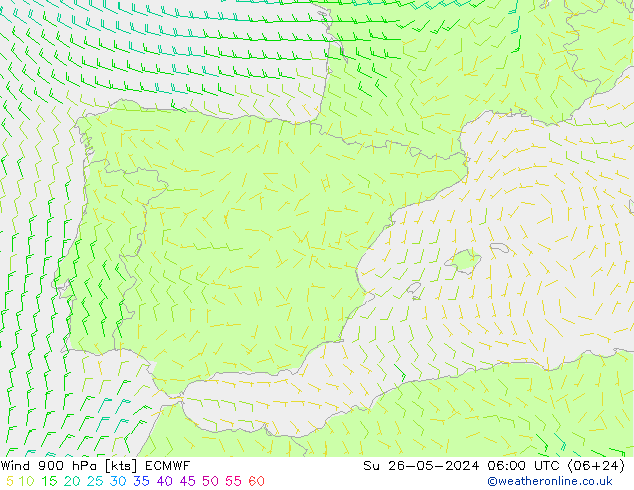 Wind 900 hPa ECMWF zo 26.05.2024 06 UTC