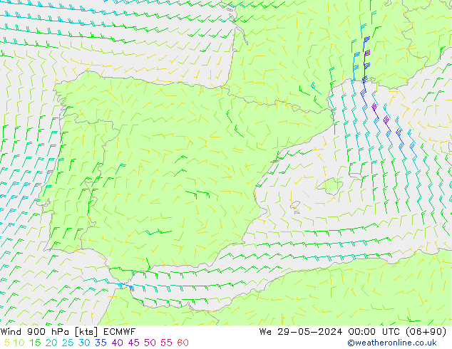 Wind 900 hPa ECMWF We 29.05.2024 00 UTC