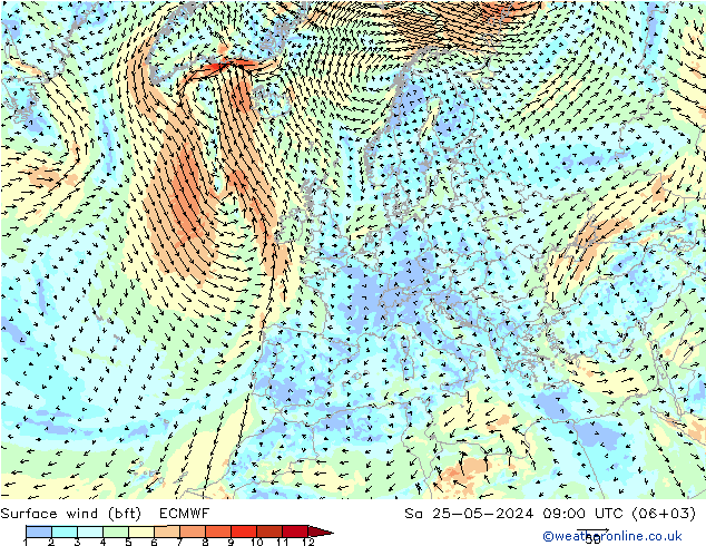 Surface wind (bft) ECMWF So 25.05.2024 09 UTC