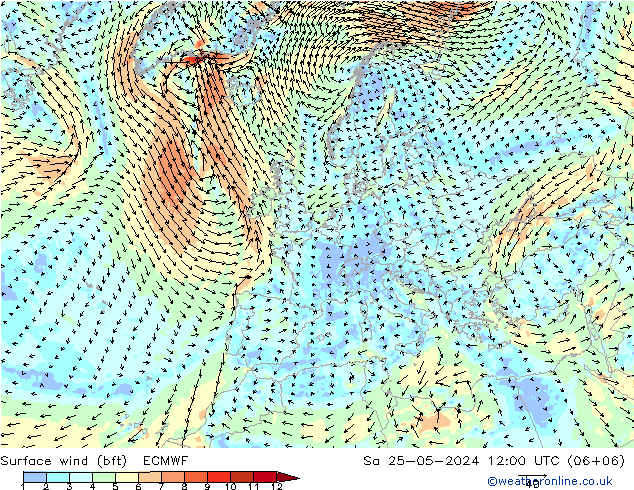 Surface wind (bft) ECMWF Sa 25.05.2024 12 UTC