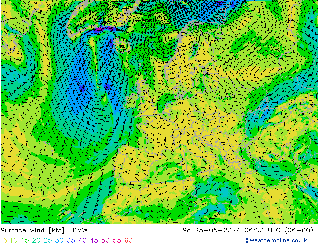 Viento 10 m ECMWF sáb 25.05.2024 06 UTC