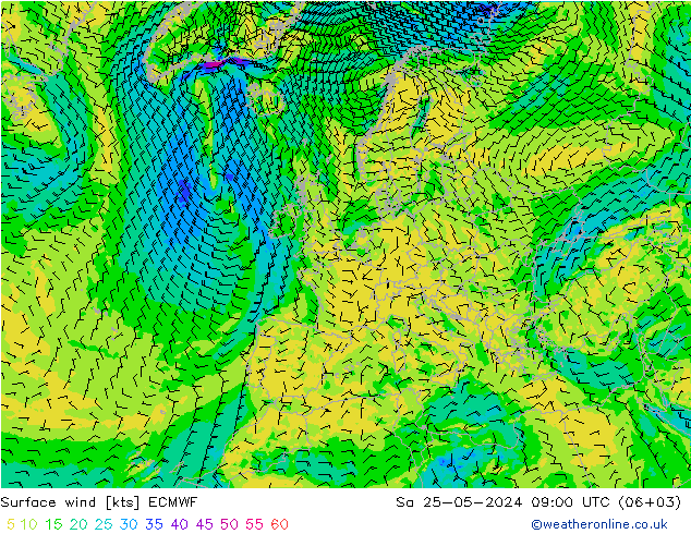 风 10 米 ECMWF 星期六 25.05.2024 09 UTC