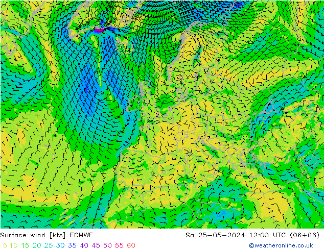 风 10 米 ECMWF 星期六 25.05.2024 12 UTC