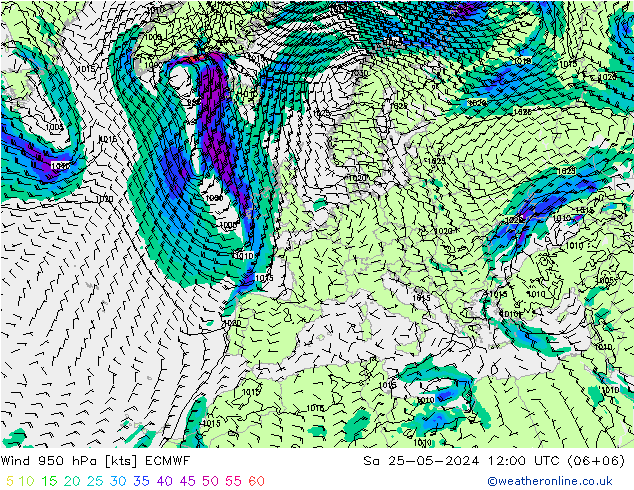 风 950 hPa ECMWF 星期六 25.05.2024 12 UTC