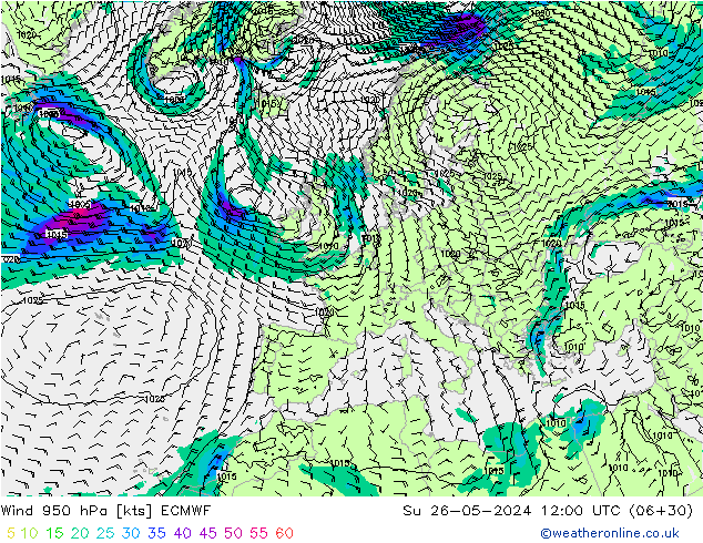 Wind 950 hPa ECMWF So 26.05.2024 12 UTC