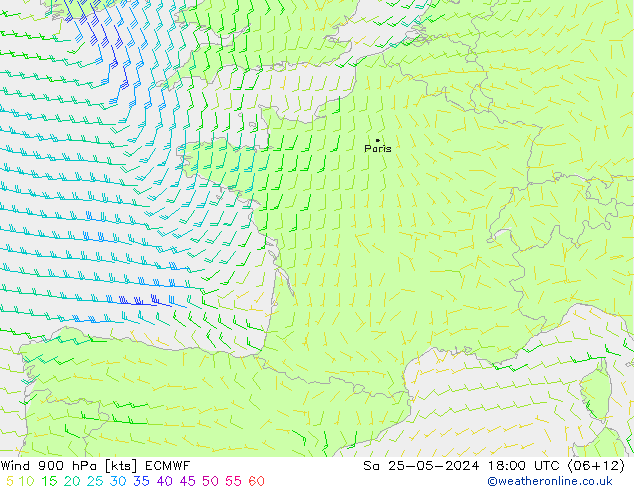 Vent 900 hPa ECMWF sam 25.05.2024 18 UTC