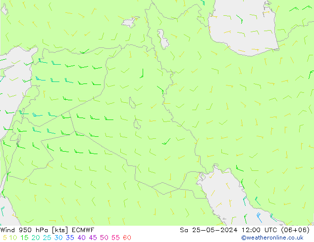 Vent 950 hPa ECMWF sam 25.05.2024 12 UTC