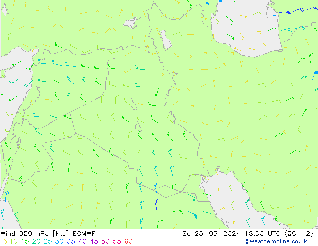 Wind 950 hPa ECMWF za 25.05.2024 18 UTC