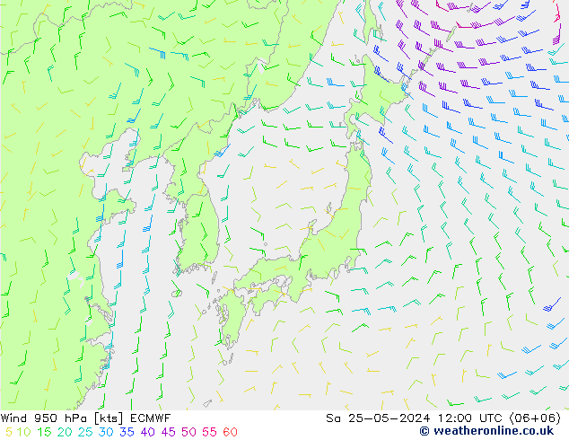  950 hPa ECMWF  25.05.2024 12 UTC