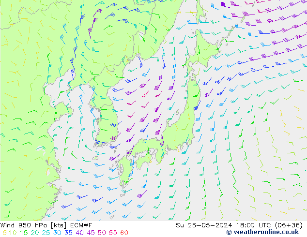 Wind 950 hPa ECMWF So 26.05.2024 18 UTC