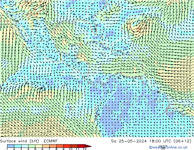 Bodenwind (bft) ECMWF Sa 25.05.2024 18 UTC