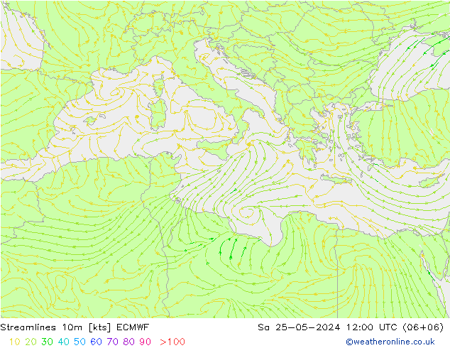 ветер 10m ECMWF сб 25.05.2024 12 UTC