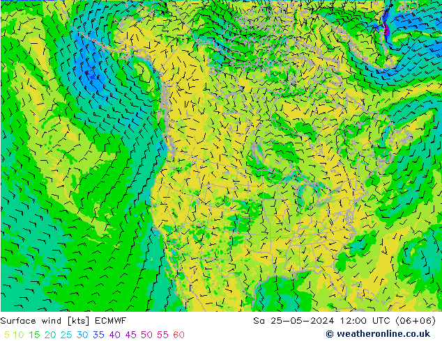 风 10 米 ECMWF 星期六 25.05.2024 12 UTC