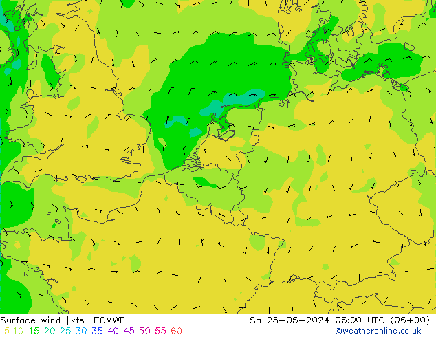 Vento 10 m ECMWF sab 25.05.2024 06 UTC