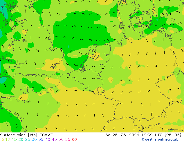 Bodenwind ECMWF Sa 25.05.2024 12 UTC