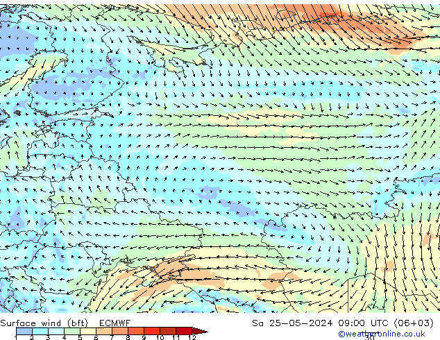  Cts 25.05.2024 09 UTC