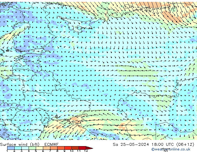  Cts 25.05.2024 18 UTC