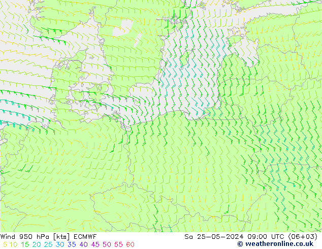 Wind 950 hPa ECMWF Sa 25.05.2024 09 UTC