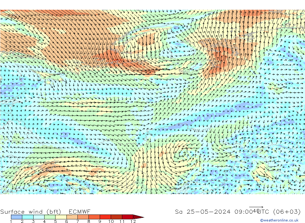 Rüzgar 10 m (bft) ECMWF Cts 25.05.2024 09 UTC