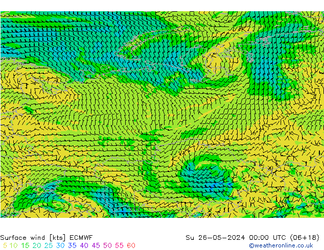 Surface wind ECMWF Ne 26.05.2024 00 UTC