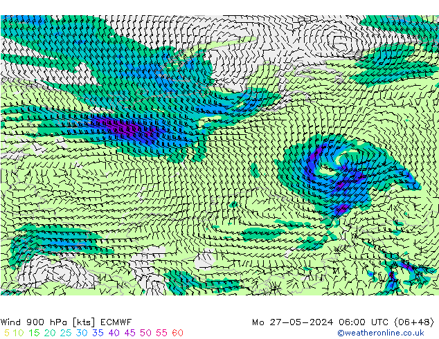 Rüzgar 900 hPa ECMWF Pzt 27.05.2024 06 UTC