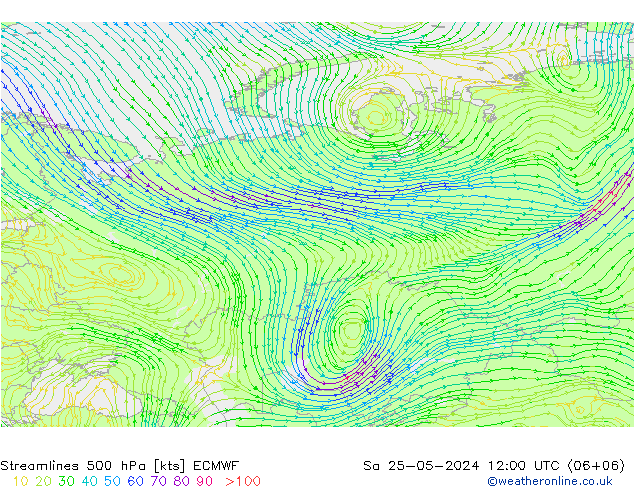 Streamlines 500 hPa ECMWF So 25.05.2024 12 UTC