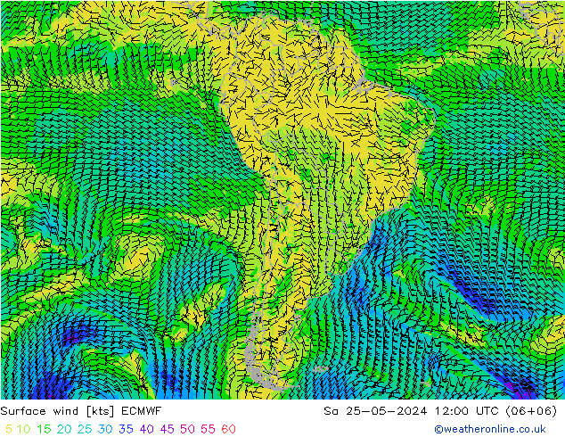 Surface wind ECMWF So 25.05.2024 12 UTC