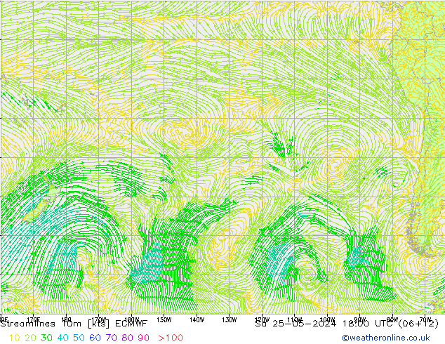 Línea de corriente 10m ECMWF sáb 25.05.2024 18 UTC