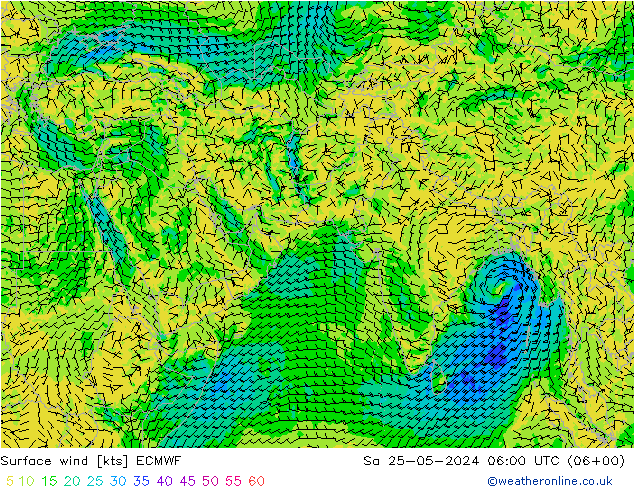 风 10 米 ECMWF 星期六 25.05.2024 06 UTC