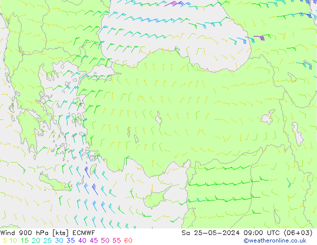 Wind 900 hPa ECMWF Sa 25.05.2024 09 UTC