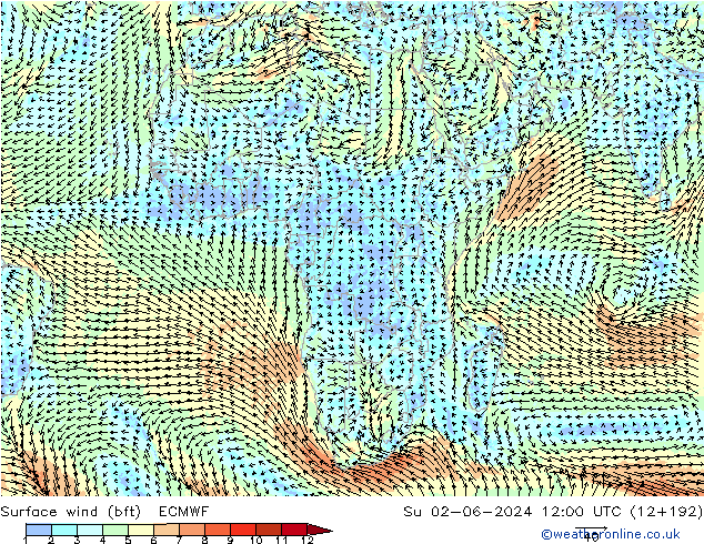 Wind 10 m (bft) ECMWF zo 02.06.2024 12 UTC