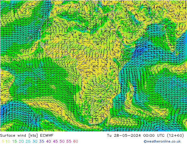 Surface wind ECMWF Tu 28.05.2024 00 UTC