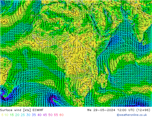 Surface wind ECMWF We 29.05.2024 12 UTC