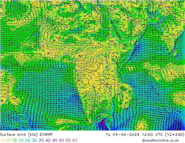 Bodenwind ECMWF Di 04.06.2024 12 UTC