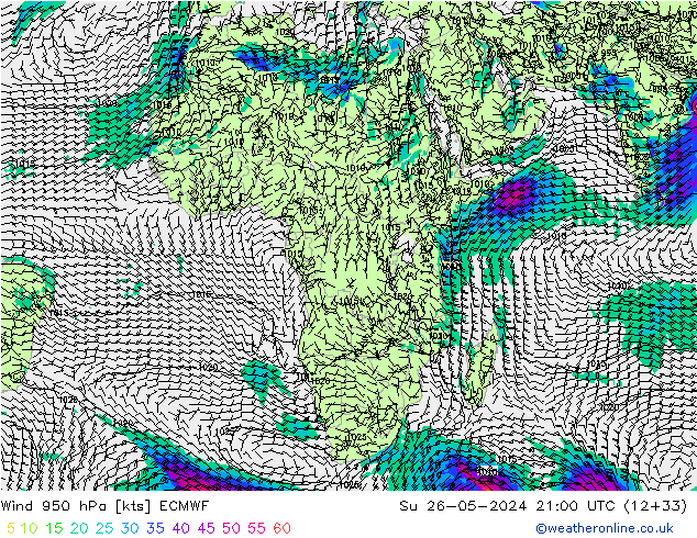 ветер 950 гПа ECMWF Вс 26.05.2024 21 UTC