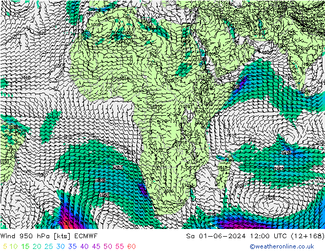 Wind 950 hPa ECMWF So 01.06.2024 12 UTC