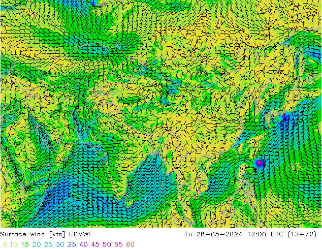 Bodenwind ECMWF Di 28.05.2024 12 UTC