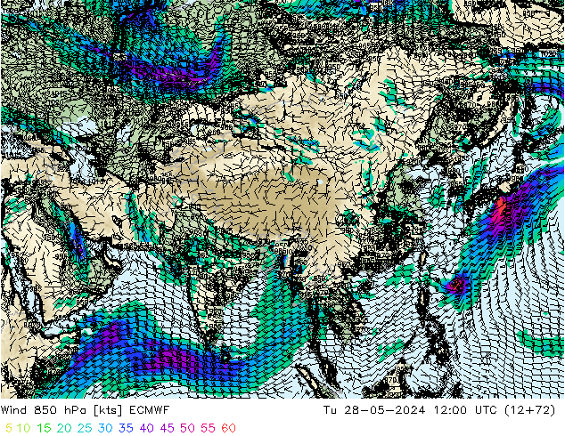  850 hPa ECMWF  28.05.2024 12 UTC