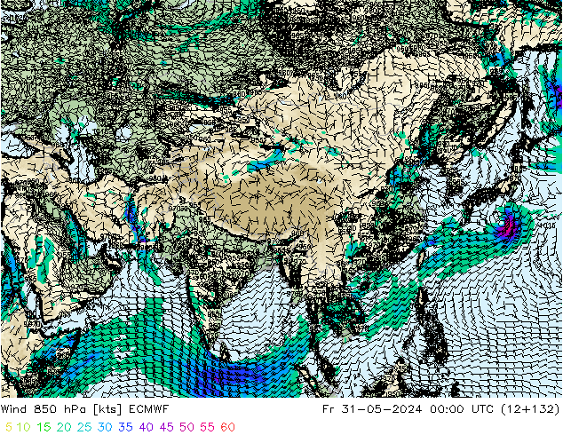 ветер 850 гПа ECMWF пт 31.05.2024 00 UTC