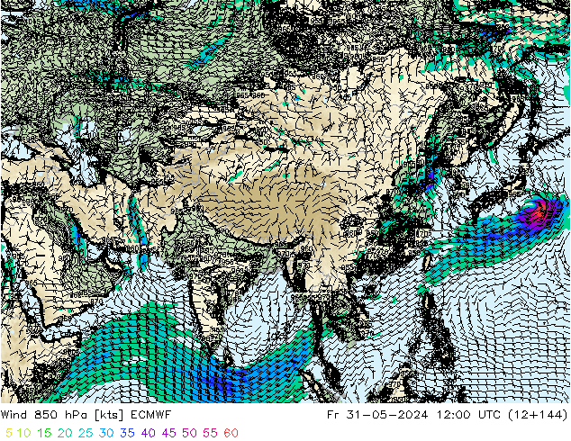 Wind 850 hPa ECMWF Fr 31.05.2024 12 UTC