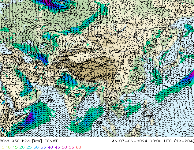 Wind 950 hPa ECMWF ma 03.06.2024 00 UTC