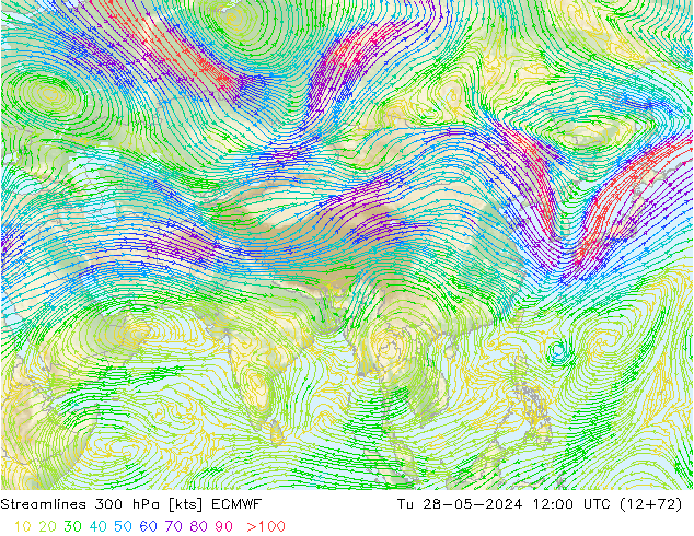 ветер 300 гПа ECMWF вт 28.05.2024 12 UTC