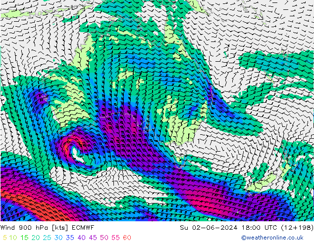 Wind 900 hPa ECMWF Su 02.06.2024 18 UTC