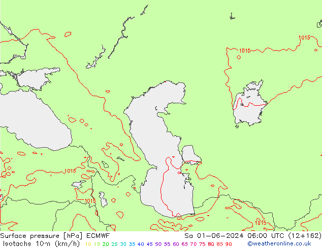 Izotacha (km/godz) ECMWF so. 01.06.2024 06 UTC