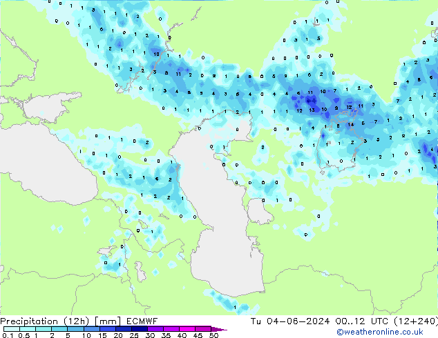 Precipitation (12h) ECMWF Tu 04.06.2024 12 UTC