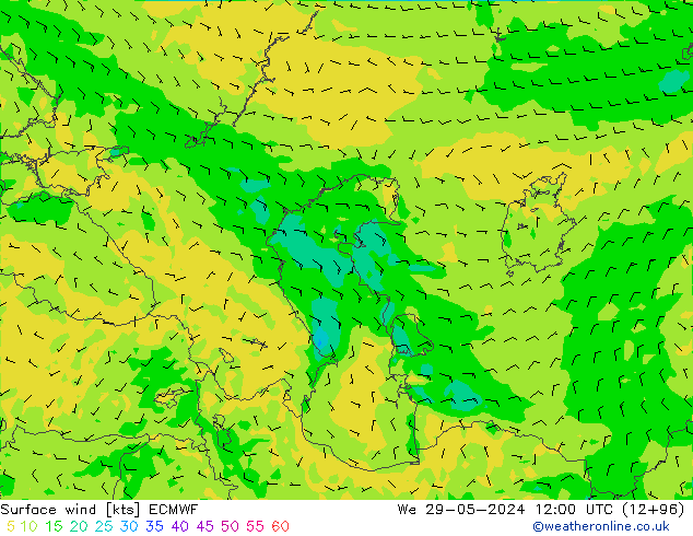 Surface wind ECMWF St 29.05.2024 12 UTC