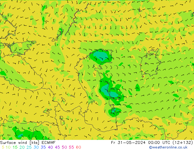 Surface wind ECMWF Fr 31.05.2024 00 UTC