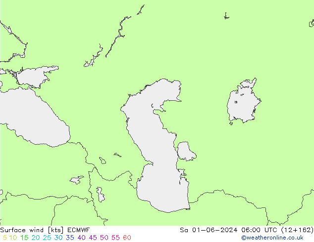 Vento 10 m ECMWF sab 01.06.2024 06 UTC