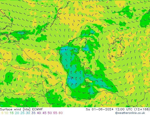 Viento 10 m ECMWF sáb 01.06.2024 12 UTC