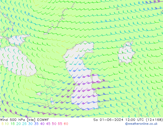 Wind 500 hPa ECMWF Sa 01.06.2024 12 UTC